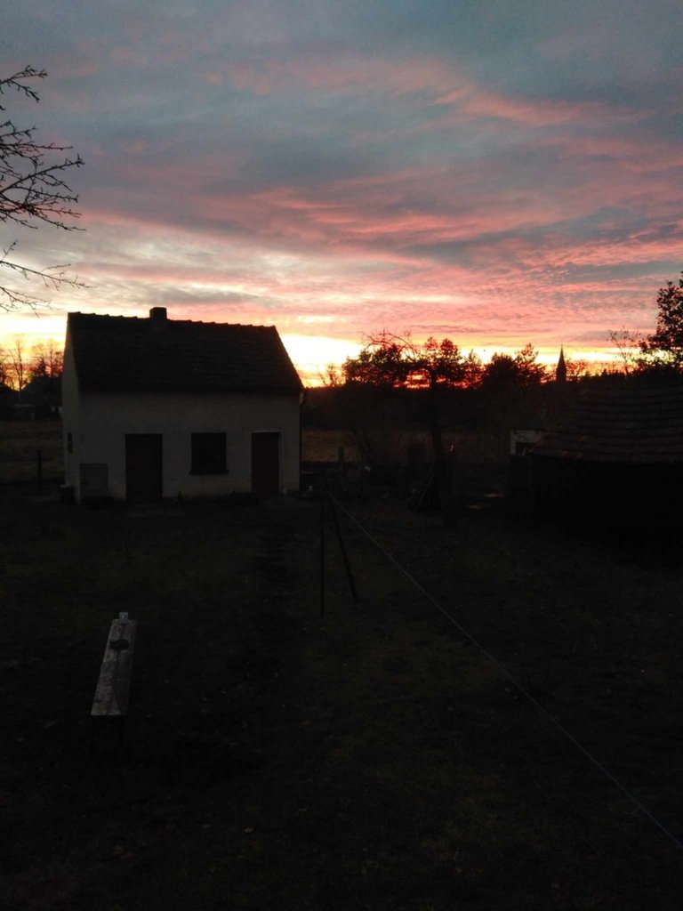 widok