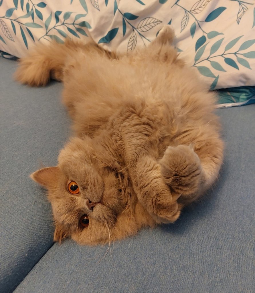 :)