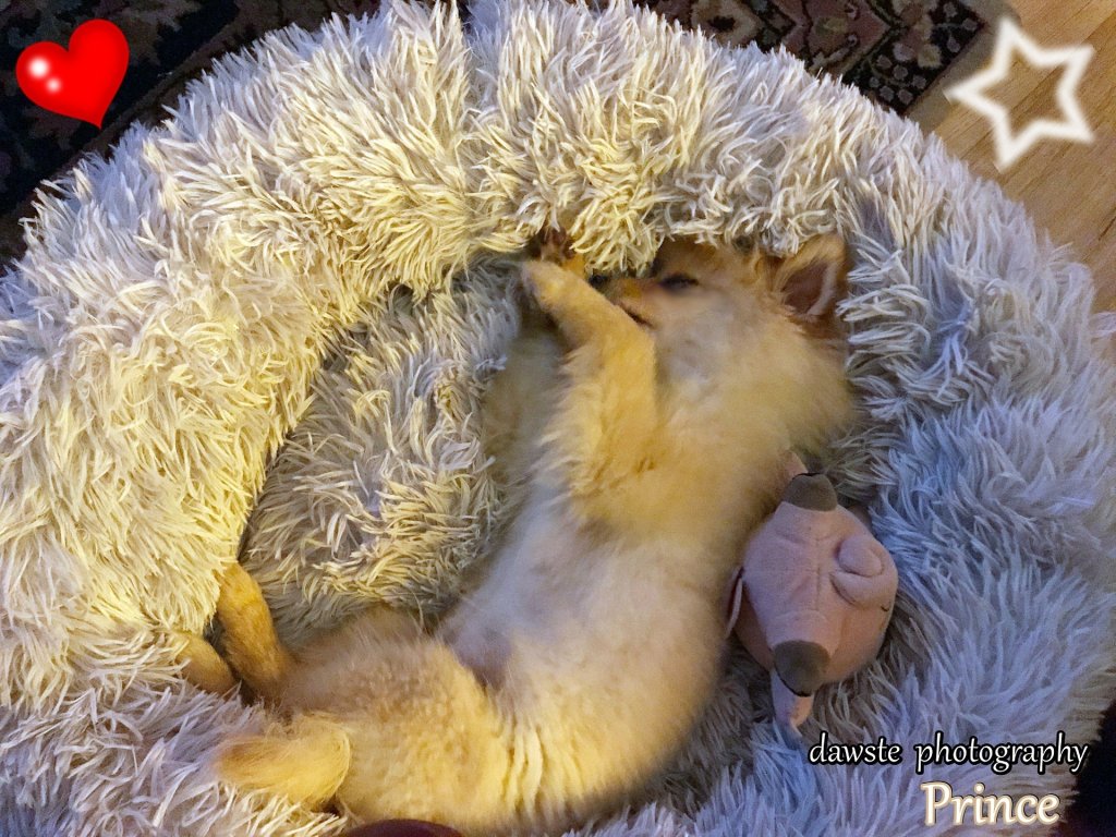 Princek sodko pi ! 