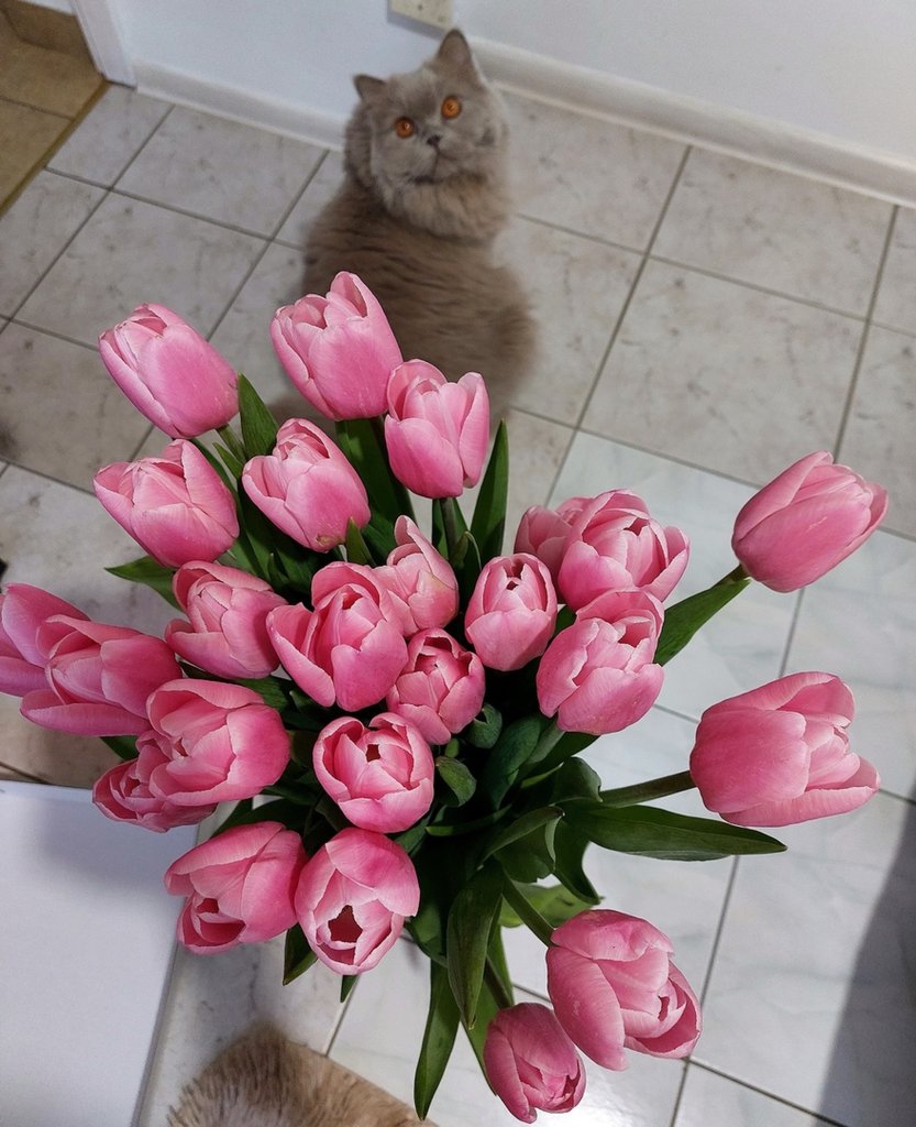 :)