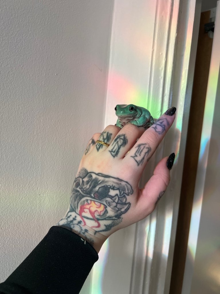 X