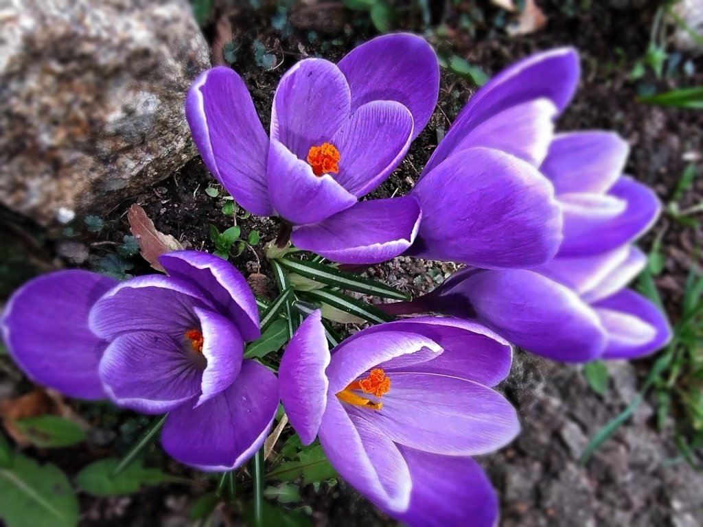 oblicza wiosny