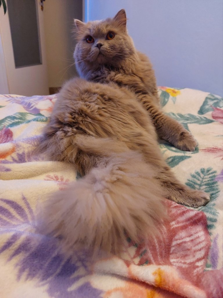 :)