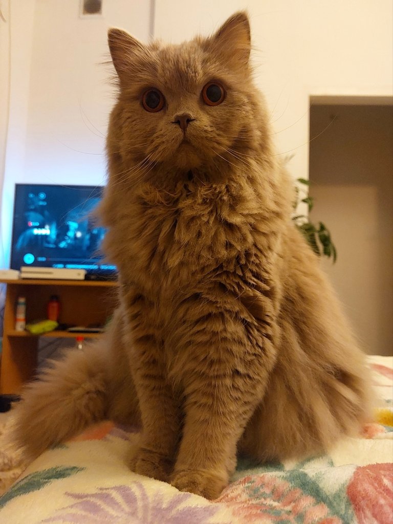 :)