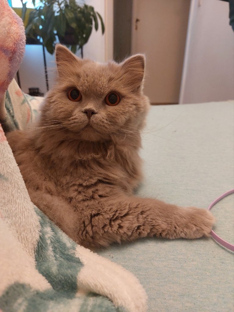 :)