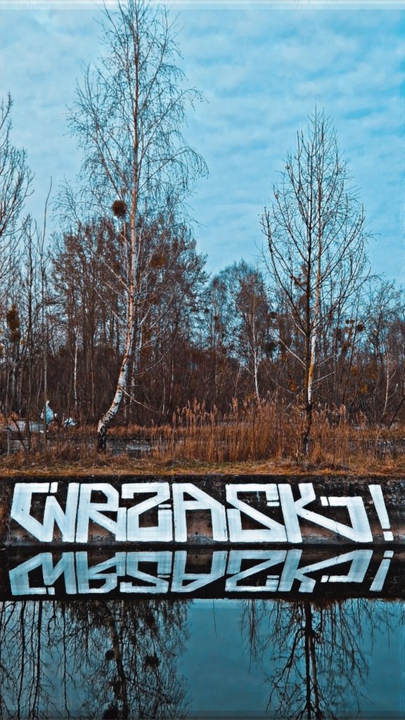 Basen