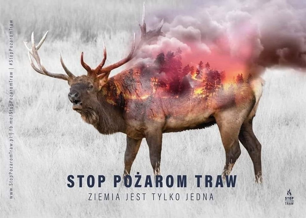 Stop wypalaniu traw