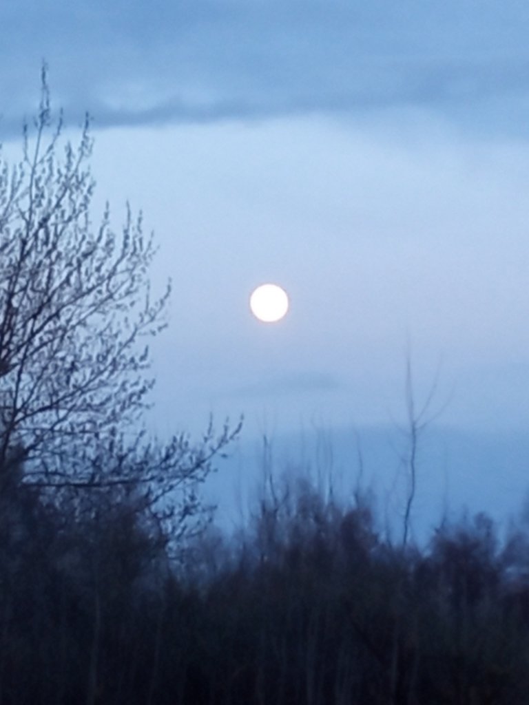 The Moon