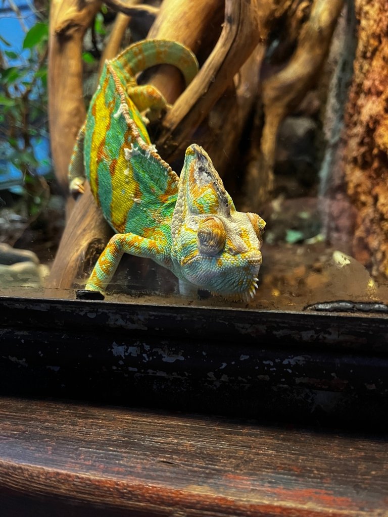 Zoo Wrocaw 
