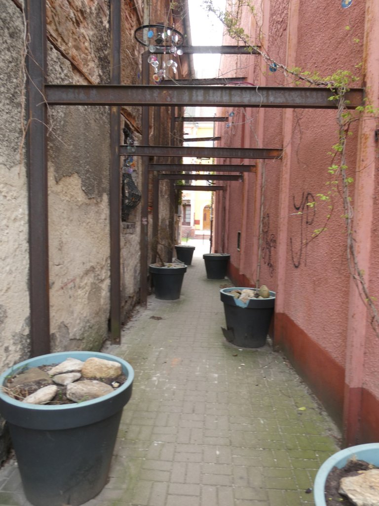 Zauek