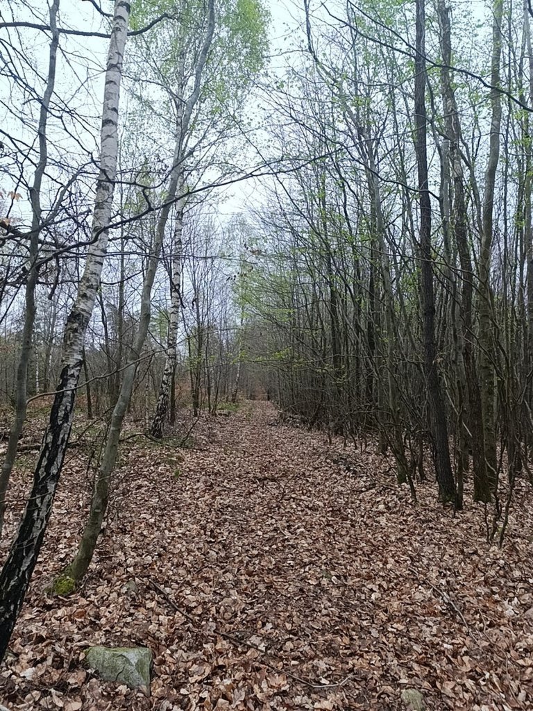 Natura