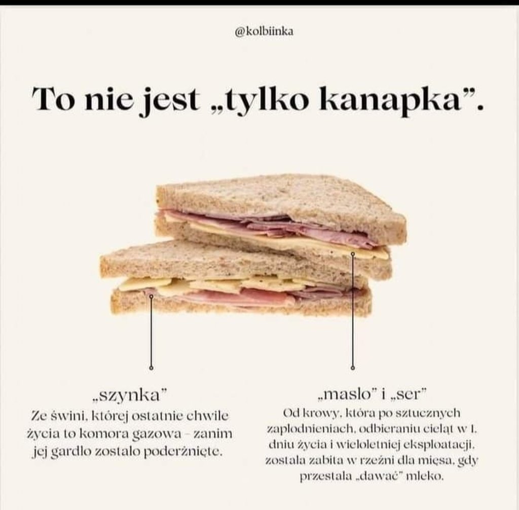 To nie jest "tylko kanapka&