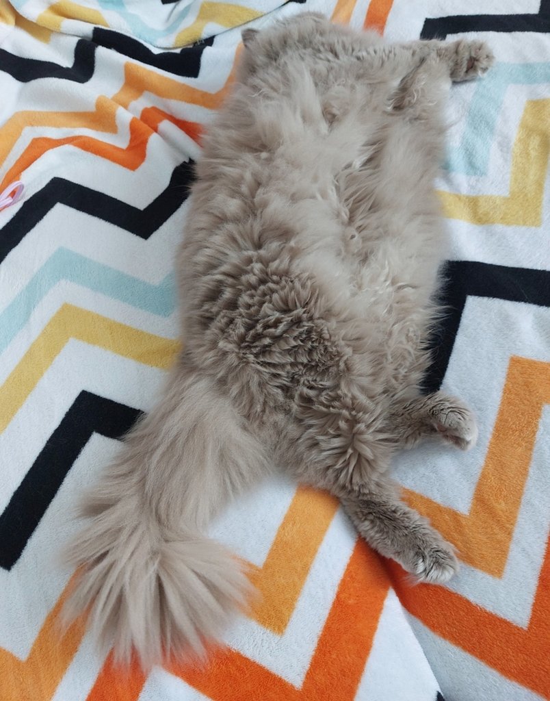 ;)