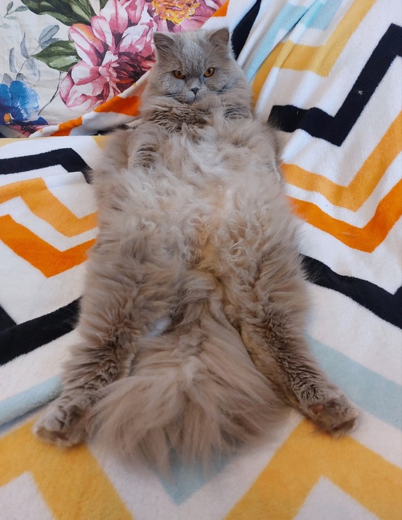 ;)