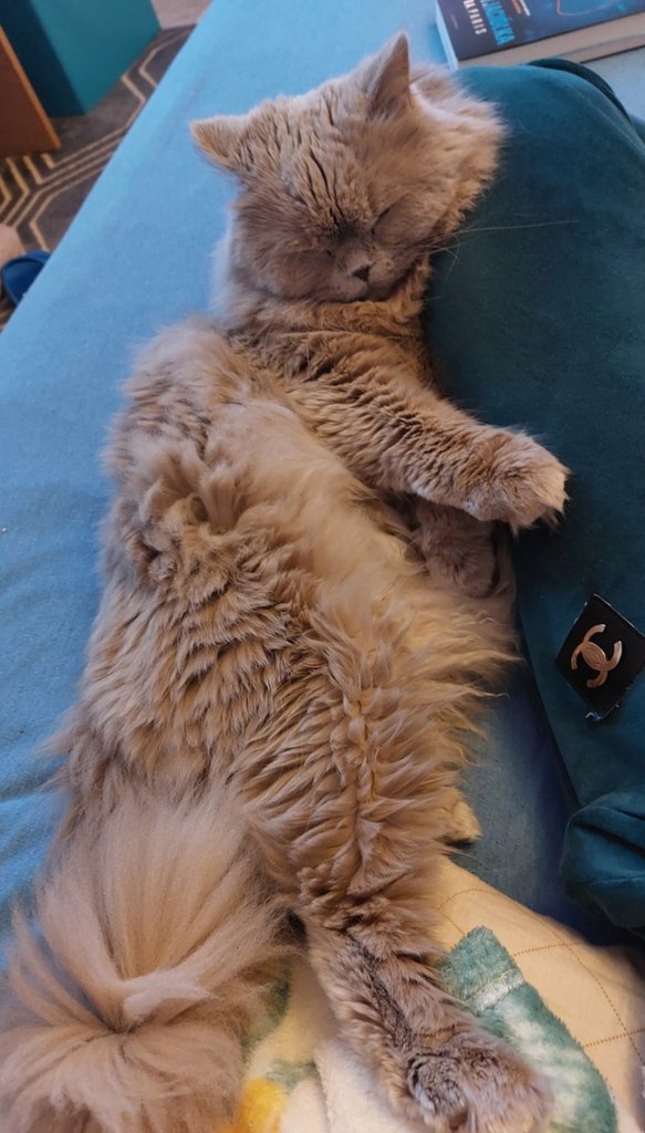 :)