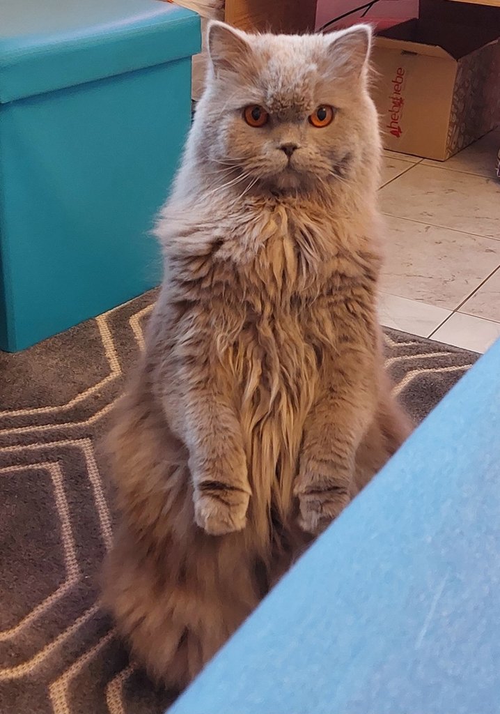 :)