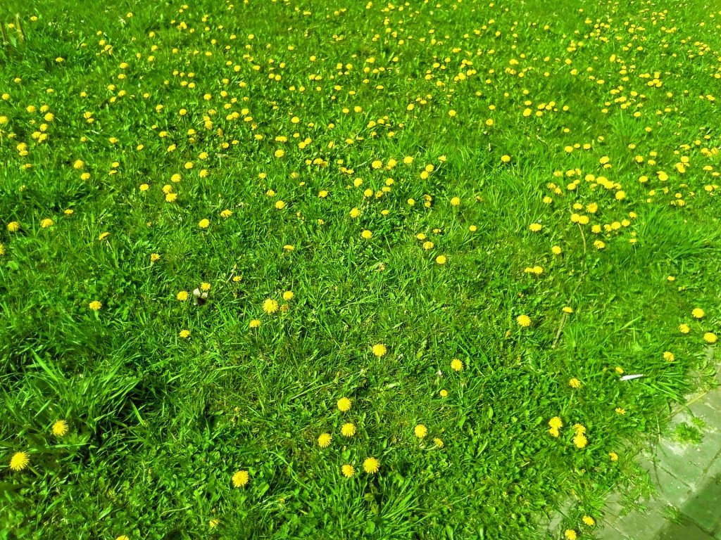 Kubatura wasnych side