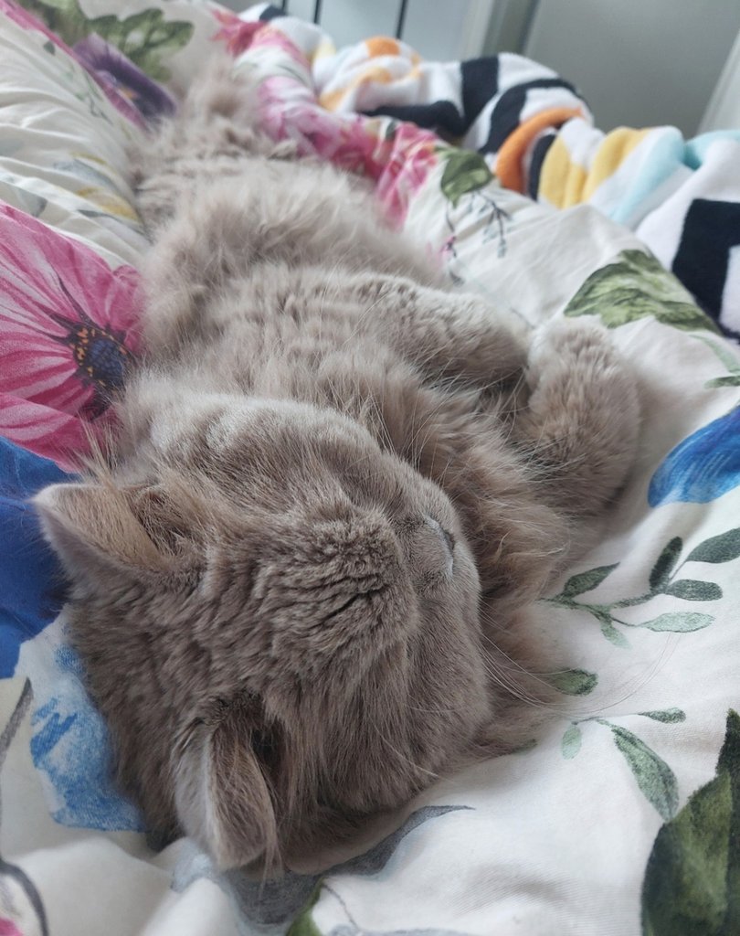 :)