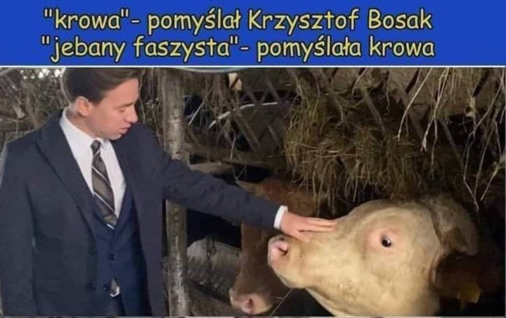 Wymiana spostrzee