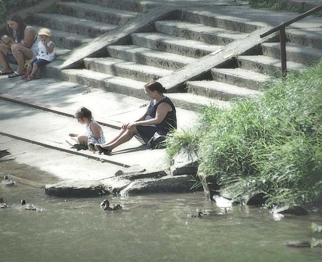 Kaczuchy. :-)