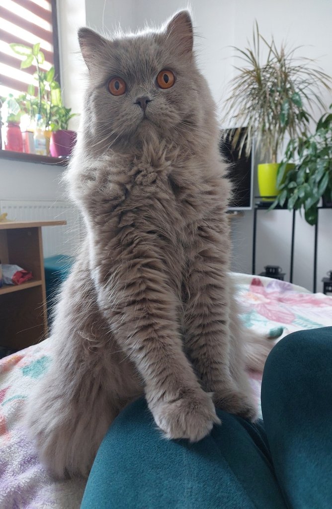 :)