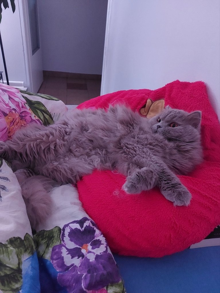 :)