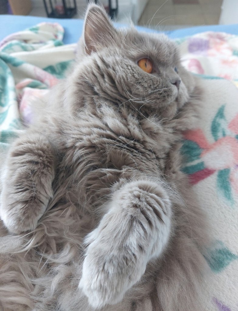 :*