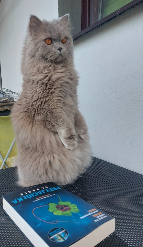 :*