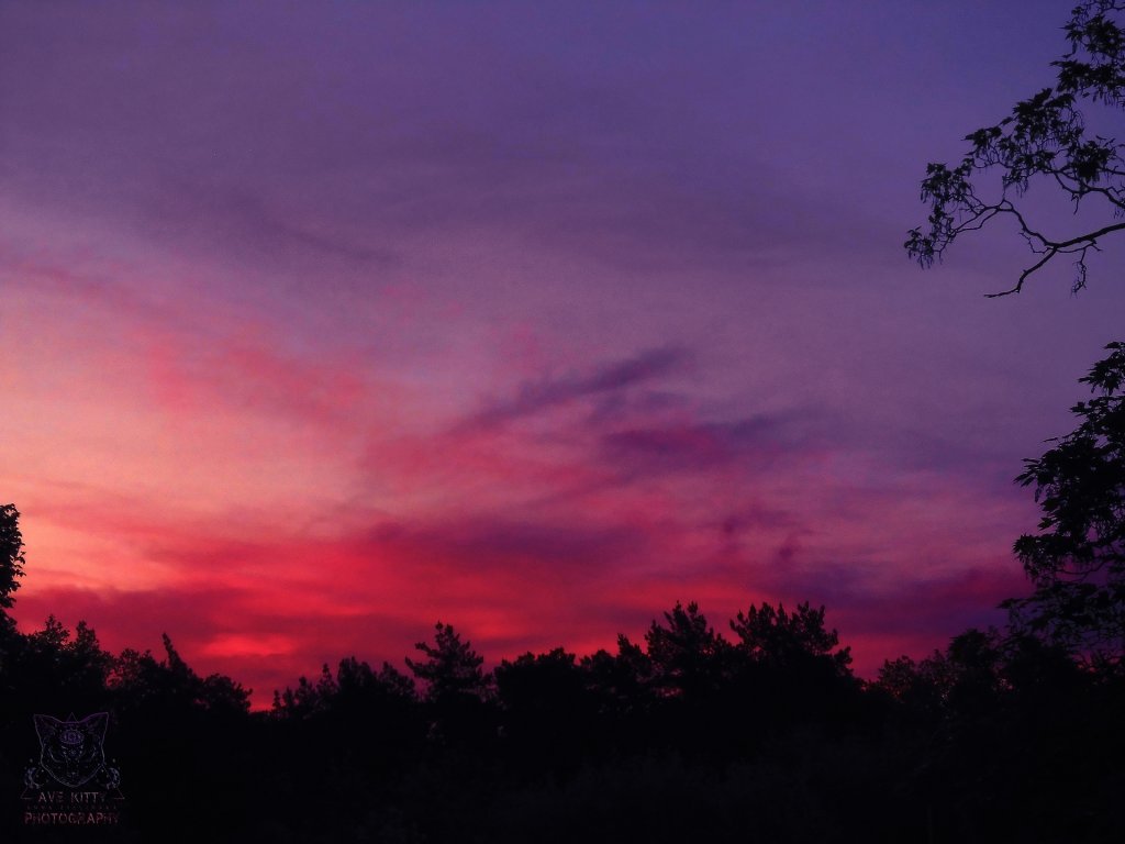 Fall in LOVE with THESE COLORS