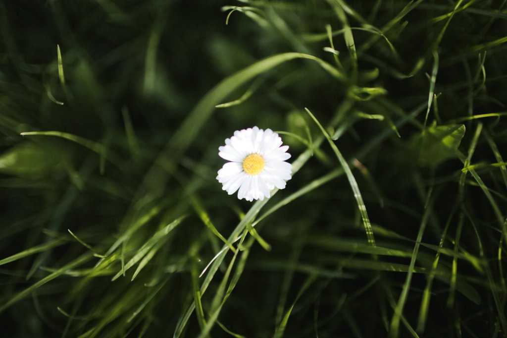 a7