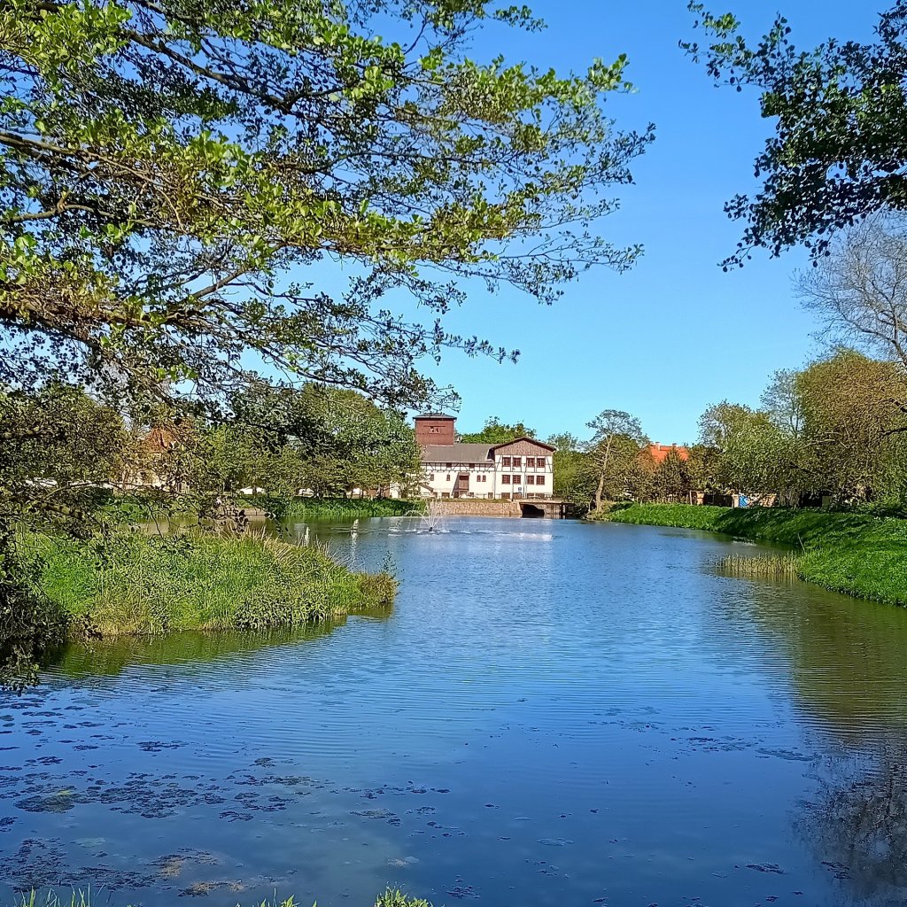 Oliwa