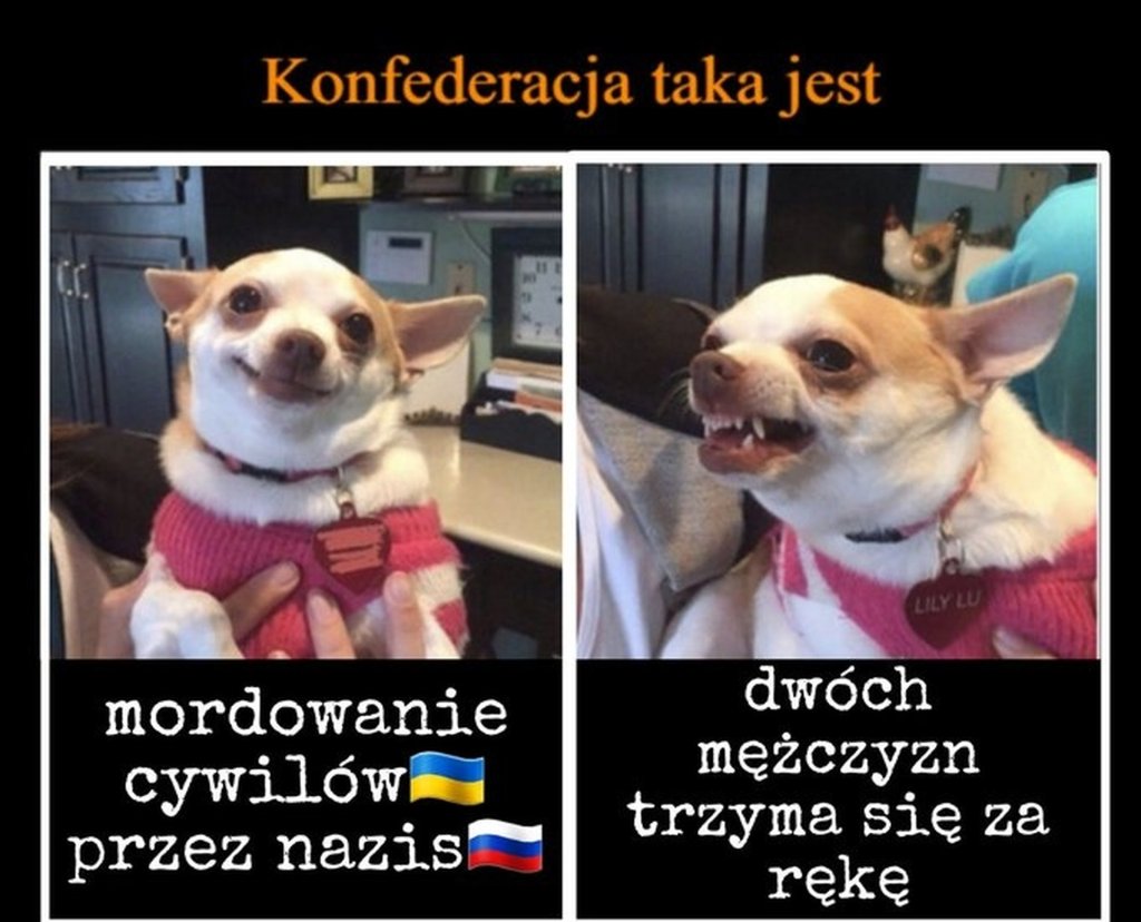 Konfederacja taka jest