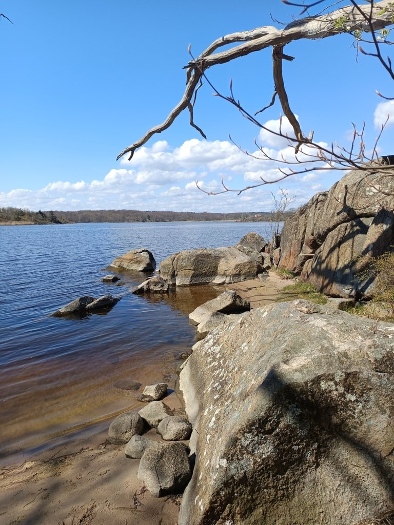 Przyroda 