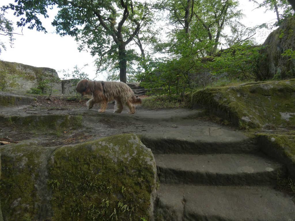 Zwiedzanie