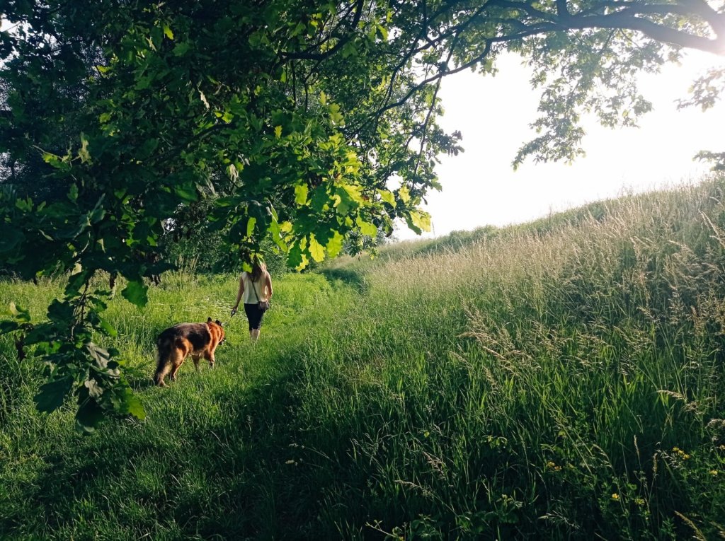 A walk