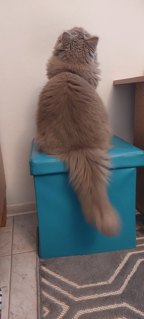 :*