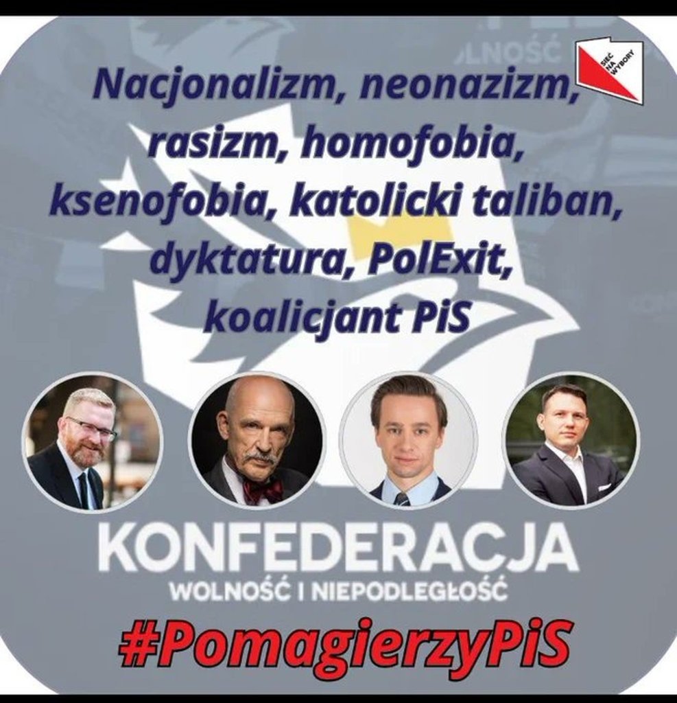 Konfederacja w piguce