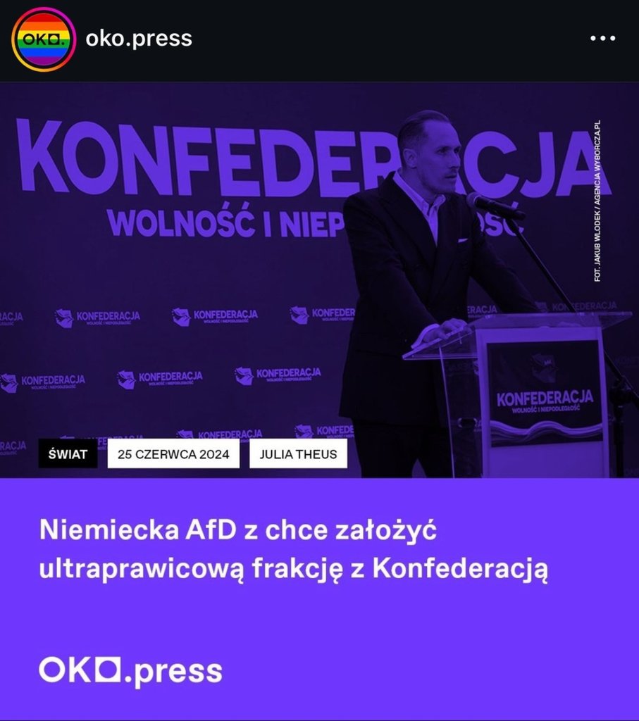 Konfederacja spiskuje z AfD