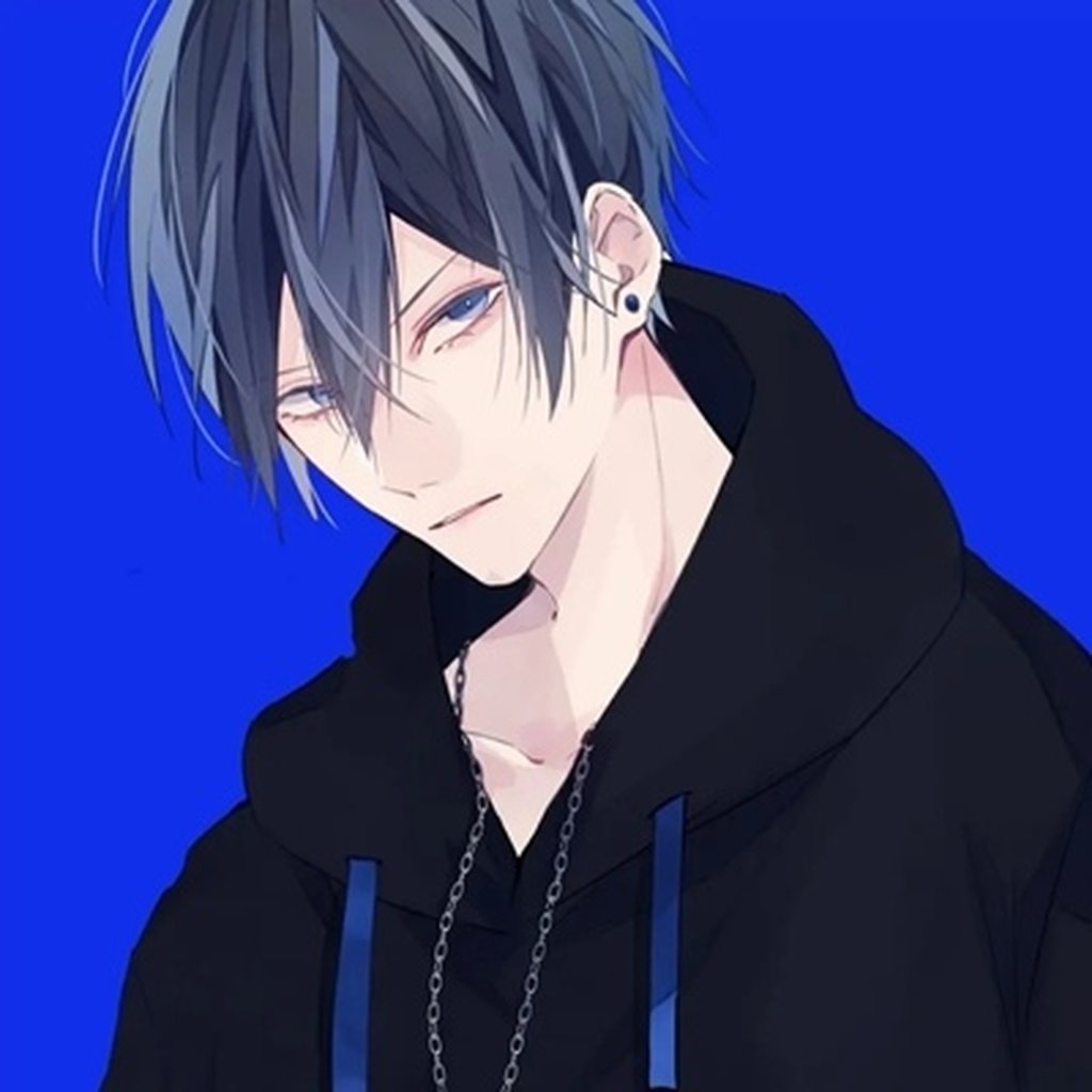 jihos68519