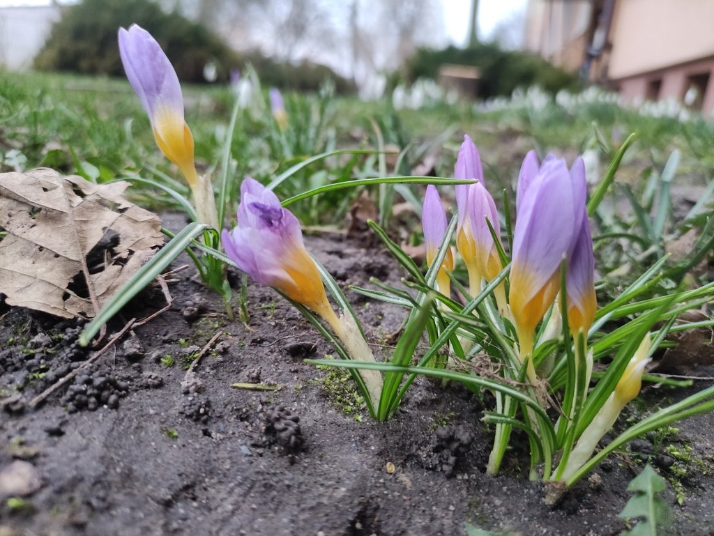 28.02.2024r..