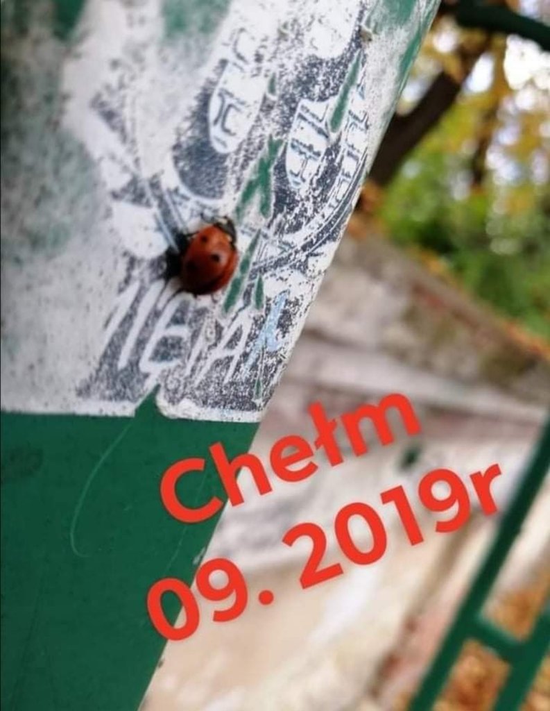 09.2019r.
