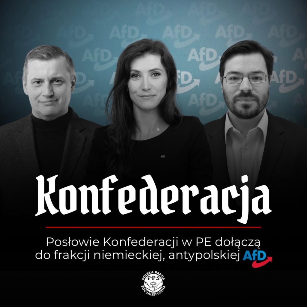 Konfederacja w sojuszu z AfD
