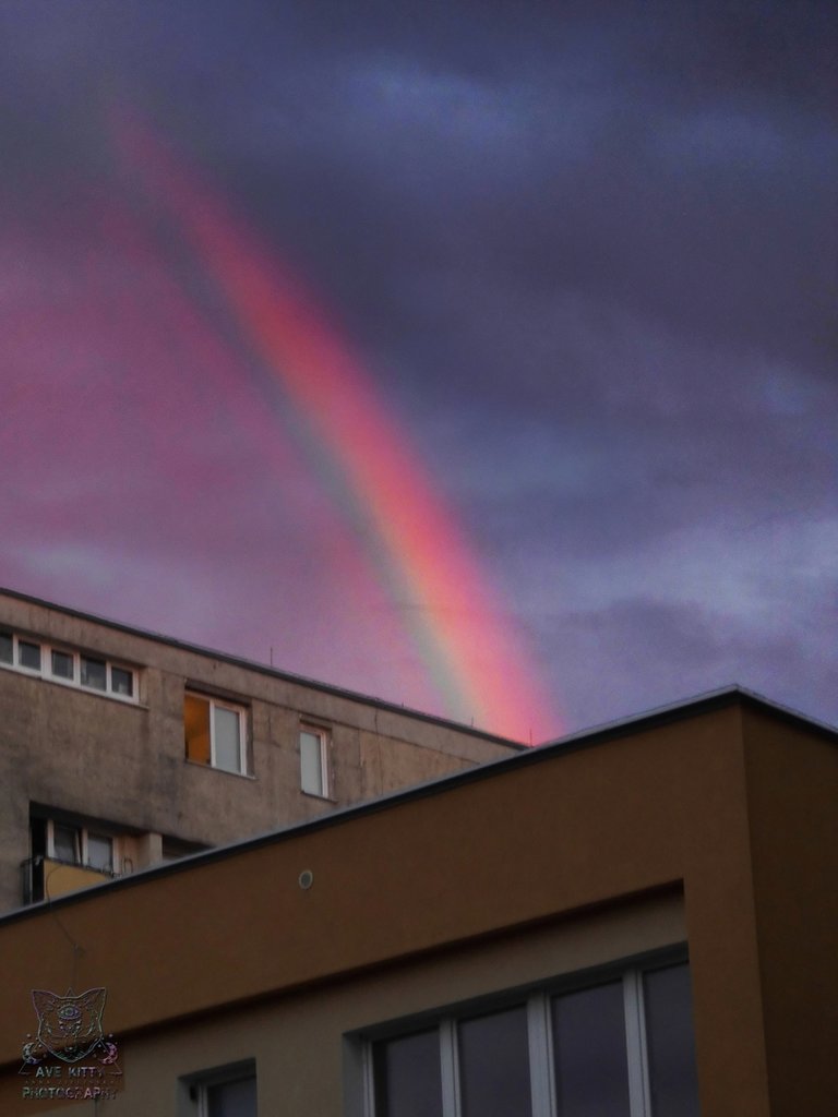 Wczorajsza TCZA god. 21:29