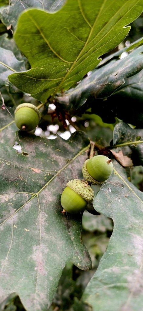 Lato 2024r. 