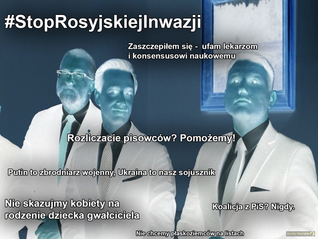 Negatyw Konfederacji