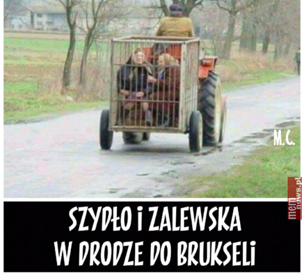 PiS