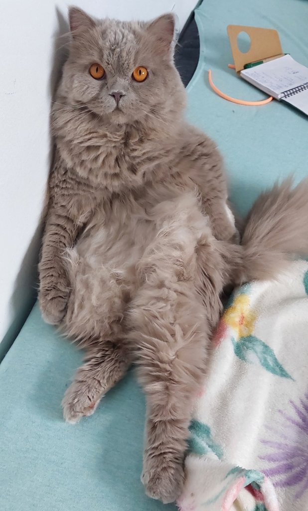 :*