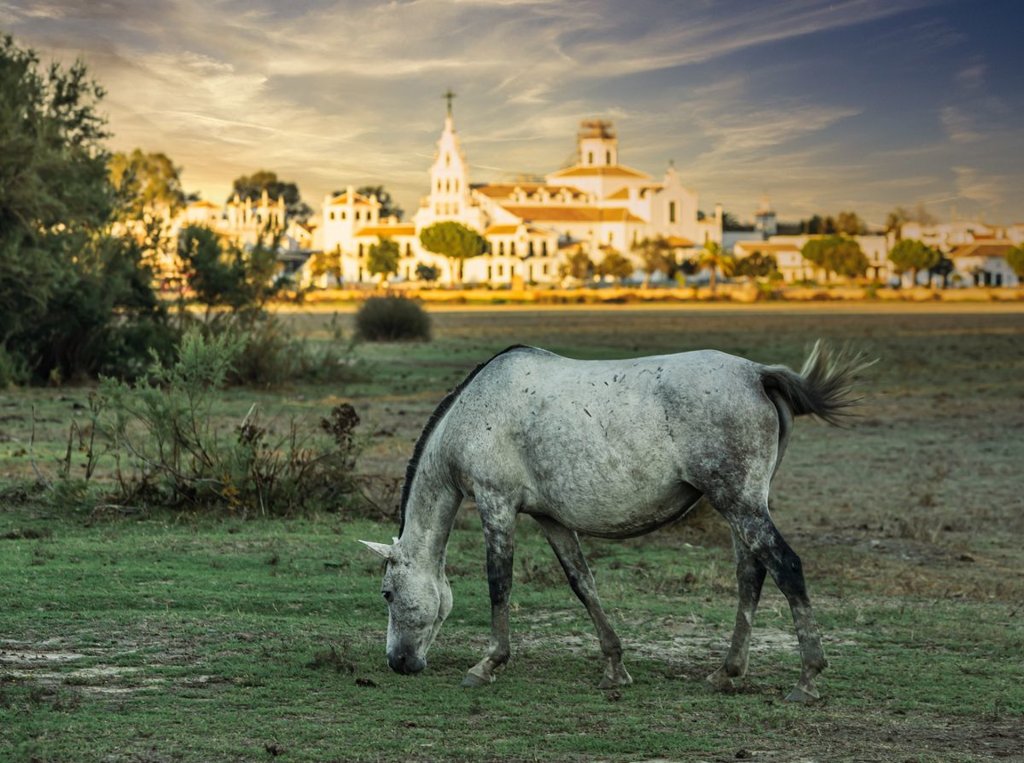  El Rocio 