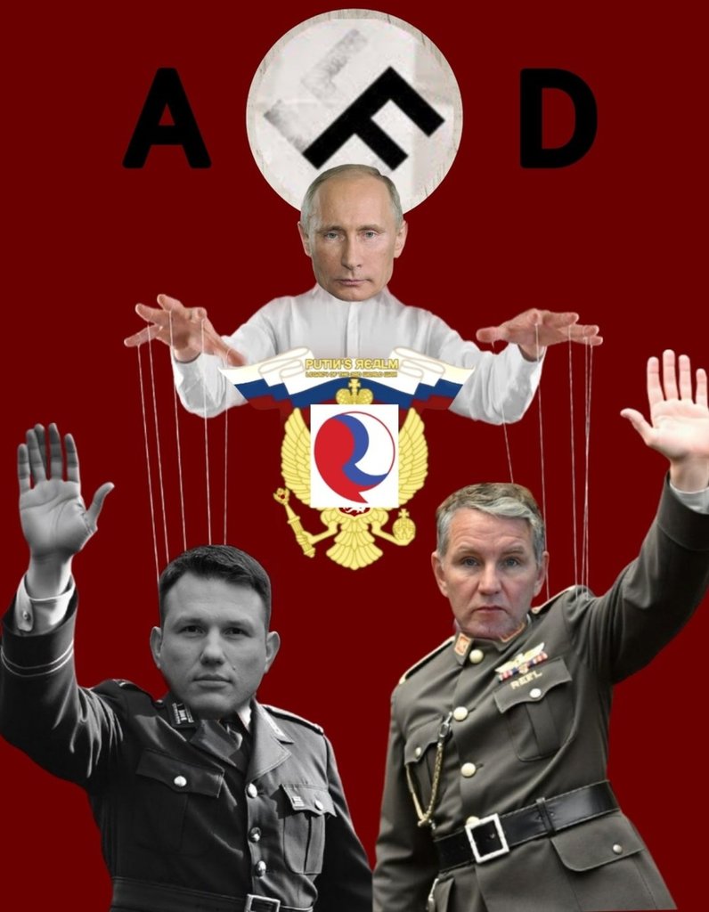 AFD sojusznicy Mentzena