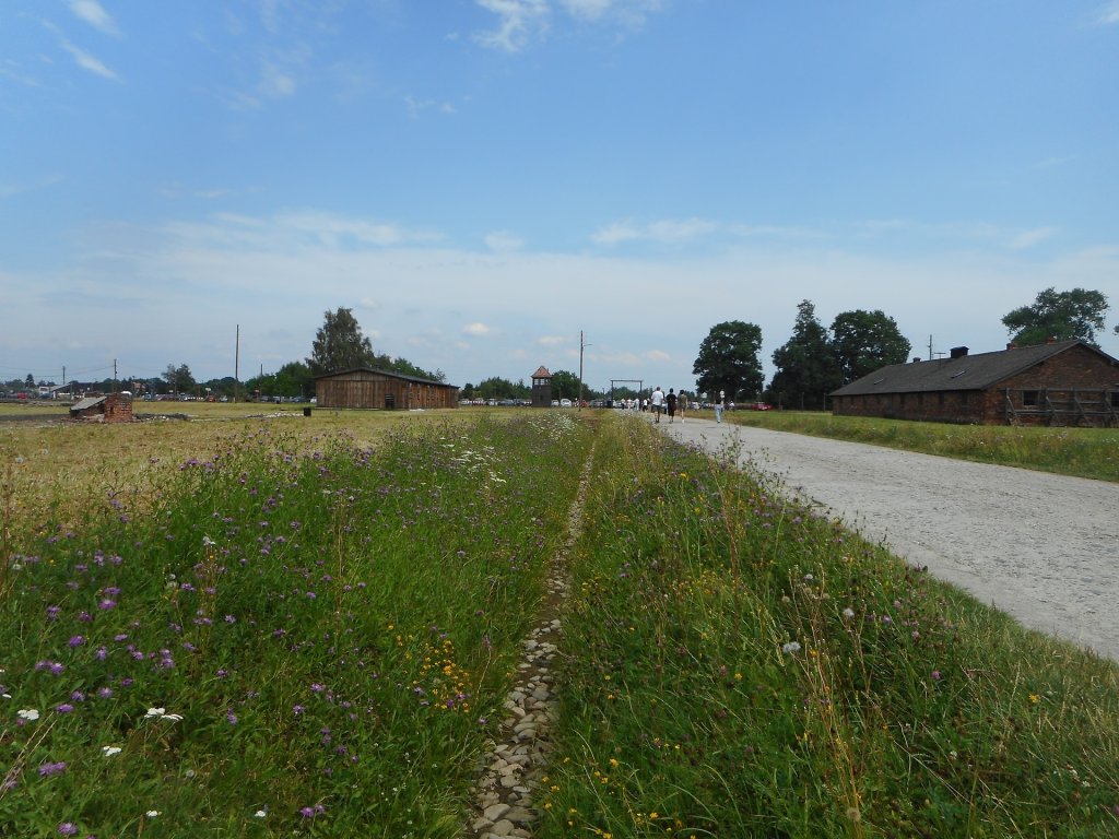 Przydrona Polana